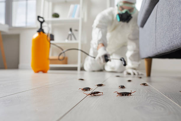 Commercial Kitchen Cockroach Control in Tenaha